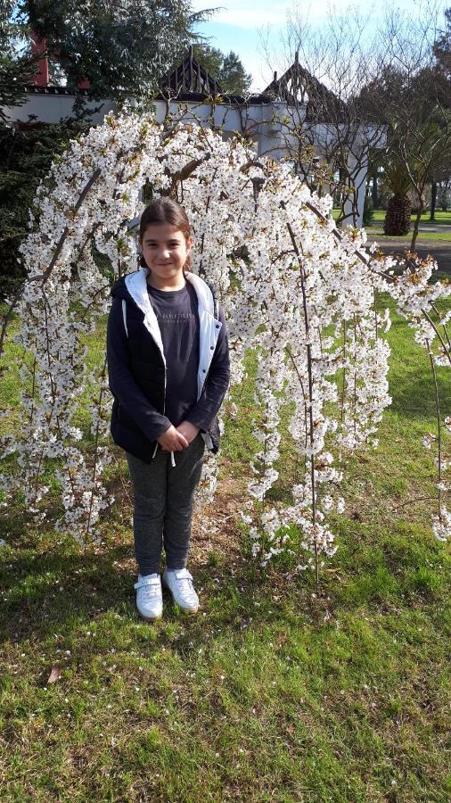 Домики У Лизы Под Ключ Pizunda Esterno foto